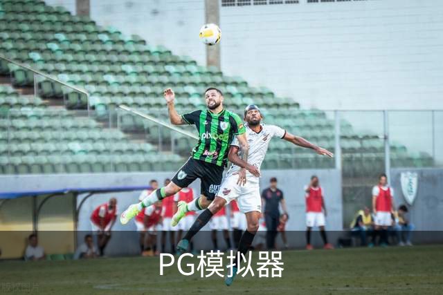 PG模拟器团队与服务介绍